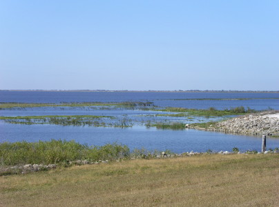 [Edge of a very flat shallow lake. There is greenery growing in clumps even a distance away from the shore.]